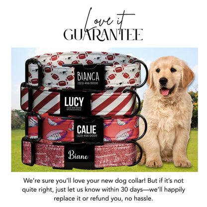 Game Day Ready Dog Collar Personalized Football-Inspired Collar Custom Name Dog Collar Sports Fan Pup Accessory (OG-440)
