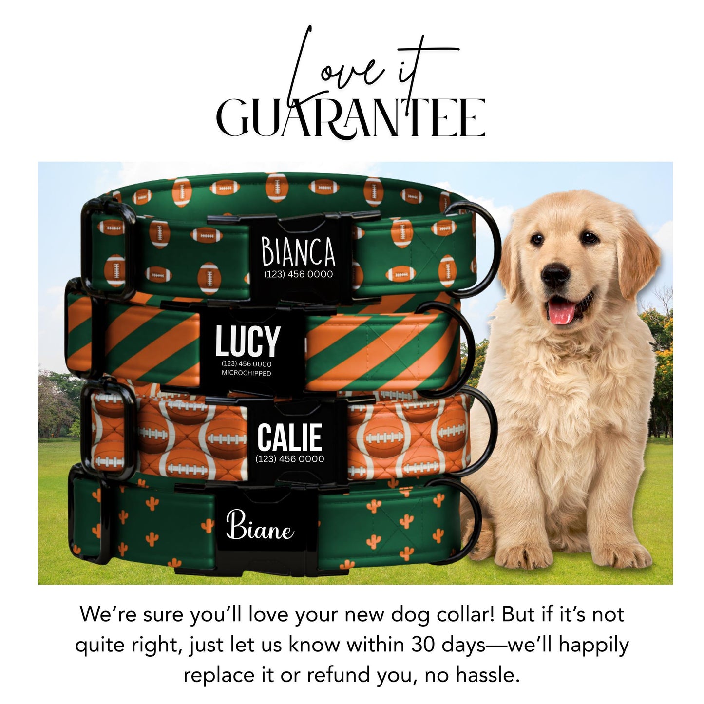 All-Star Game Day Dog Collar  Personalized Football Vibes Orange & Green Pup Gear Sunday Funday Football Dog Collar (OG-443)