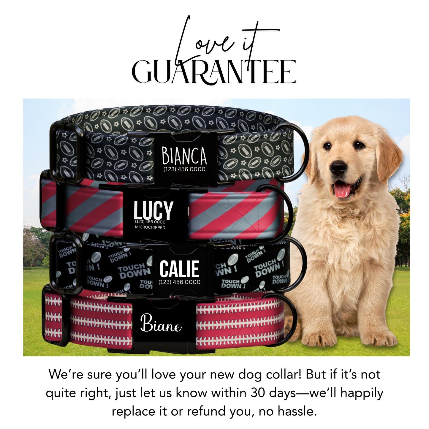 Game Day MVP Personalized Dog Collar  Touchdown-Ready Style for Your All-Star Pup! Football Dog Tag (OG-445)