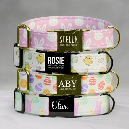 Easter Personalized Dog Collar Custom Name Bunny & Chick Pastel Spring Puppy Girl Gift (OG-464)