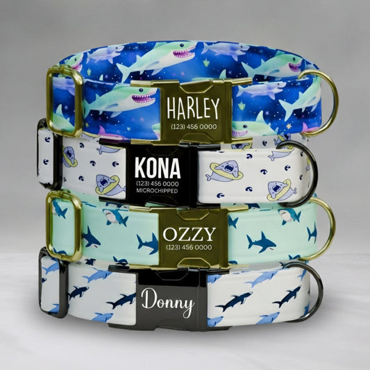 Shark Print Dog Collar with Leash: USA Handmade, Personalized Metal Buckle Ocean-Loving Pups (OG-452)