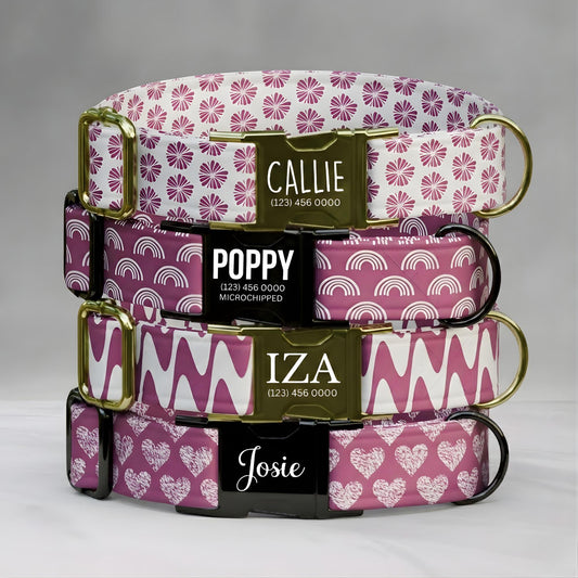 Pink Dog Collar Custom Name Engraved Buckle Floral Heart Rainbow Girl Dog Gift (OG-486)