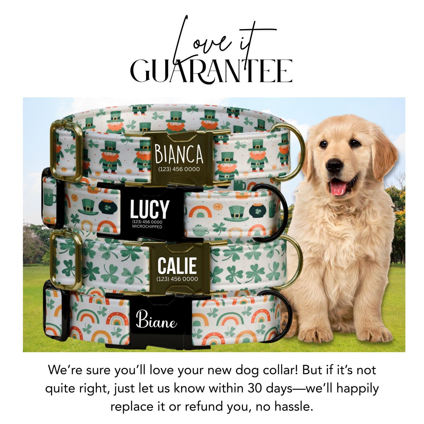 Lucky Pup Personalized Dog Collar  St. Patricks Day Shamrocks, Leprechauns & Rainbows Collar (OG-433)