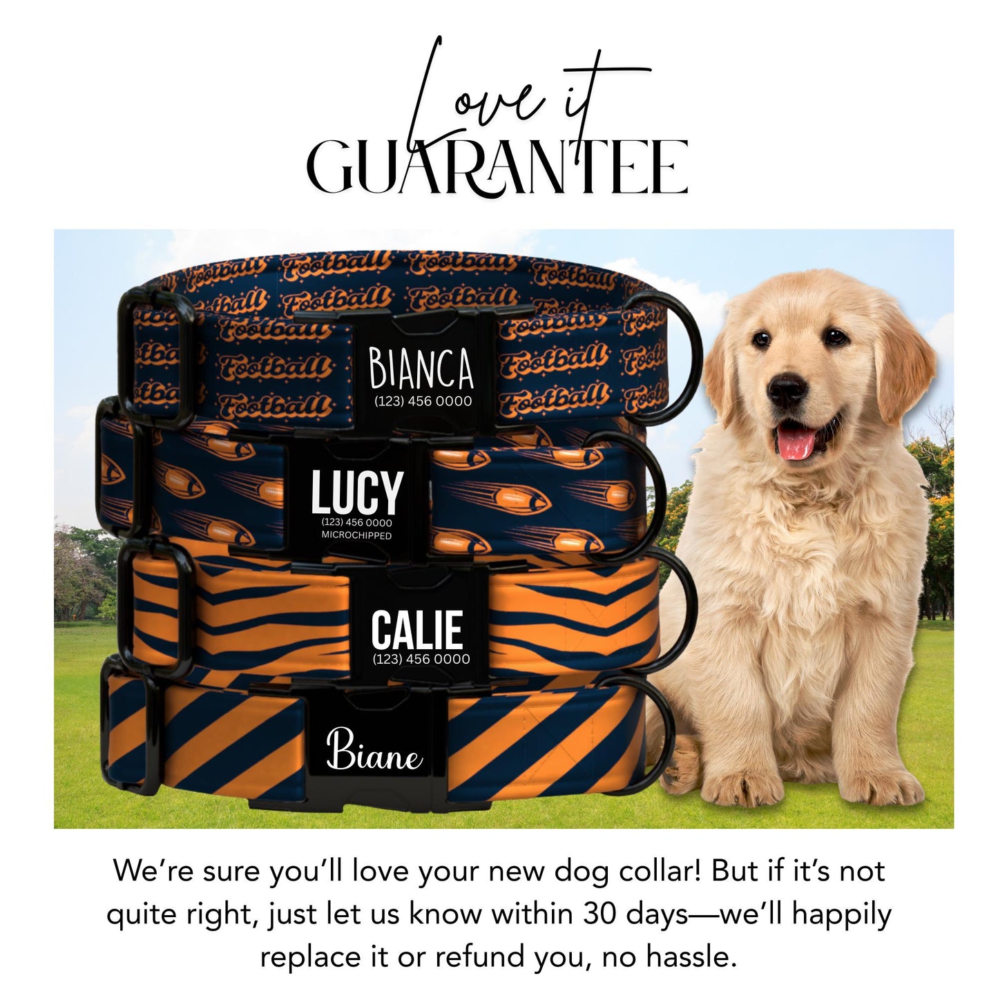 Navy & Burnt Orange Dog Collar  Personalized Football Game Day Collar  Custom Engraved Name  Saturday Series (OG-438)