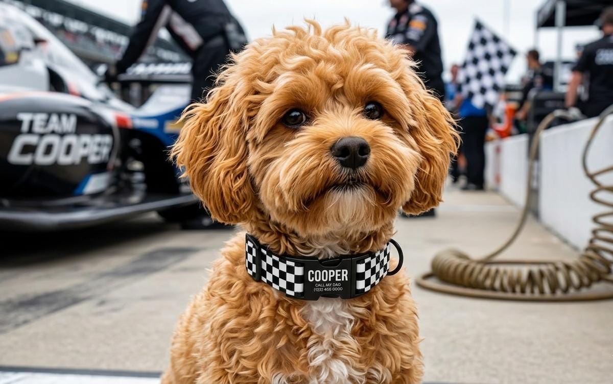Racing Checkered Flag Personalized Dog Collar & Leash Set