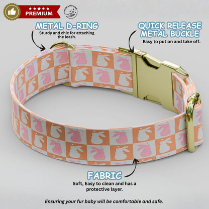 Personalized Bunny Hoppy Chic Dog Collar, Easter Colors - USA Handmade with matching LEASH, Gift Ready (OG-460)