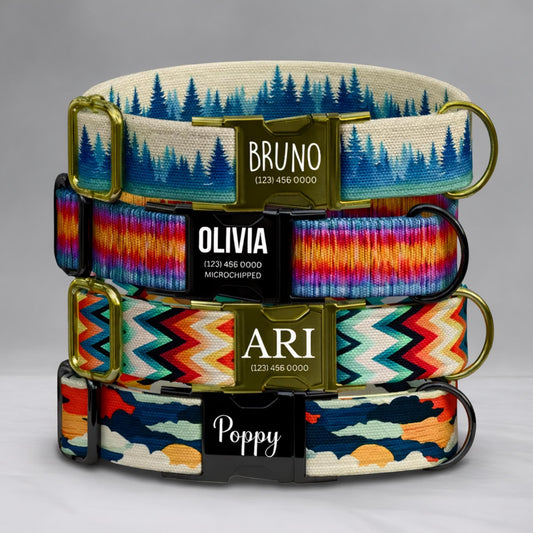Colorful Adventure Customized Dog Collar and Leash Set | Personalized Outdoor Dog Gear (OG-513)