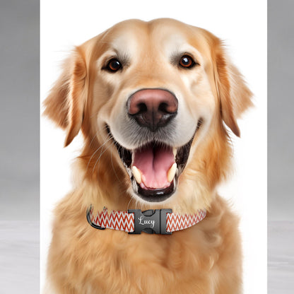 Hoppy Carrot Dog Collar Personalized Spring Puppy Collar Custom Name & Number Easter Pet Collar (OG-472)