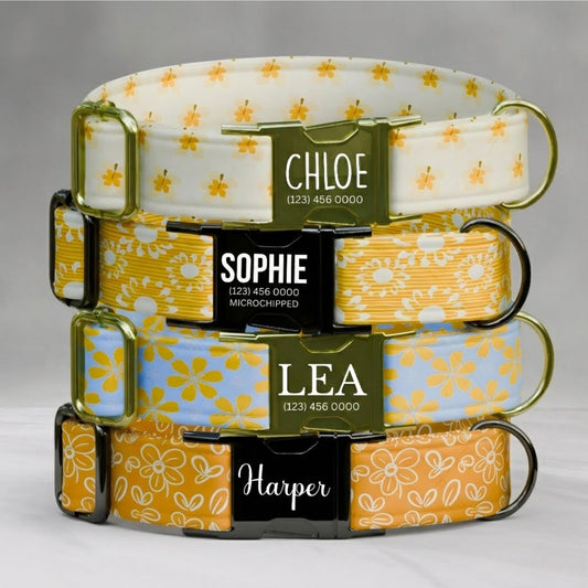 Sunny Daisy Custom Dog Collar Personalized Spring Summer Floral Puppy Collar (OG-478)