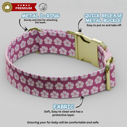 Blush Blossom Personalized Dog Collar & Leash Set Custom Pink Girly Dog Tag Gift (OG-483)