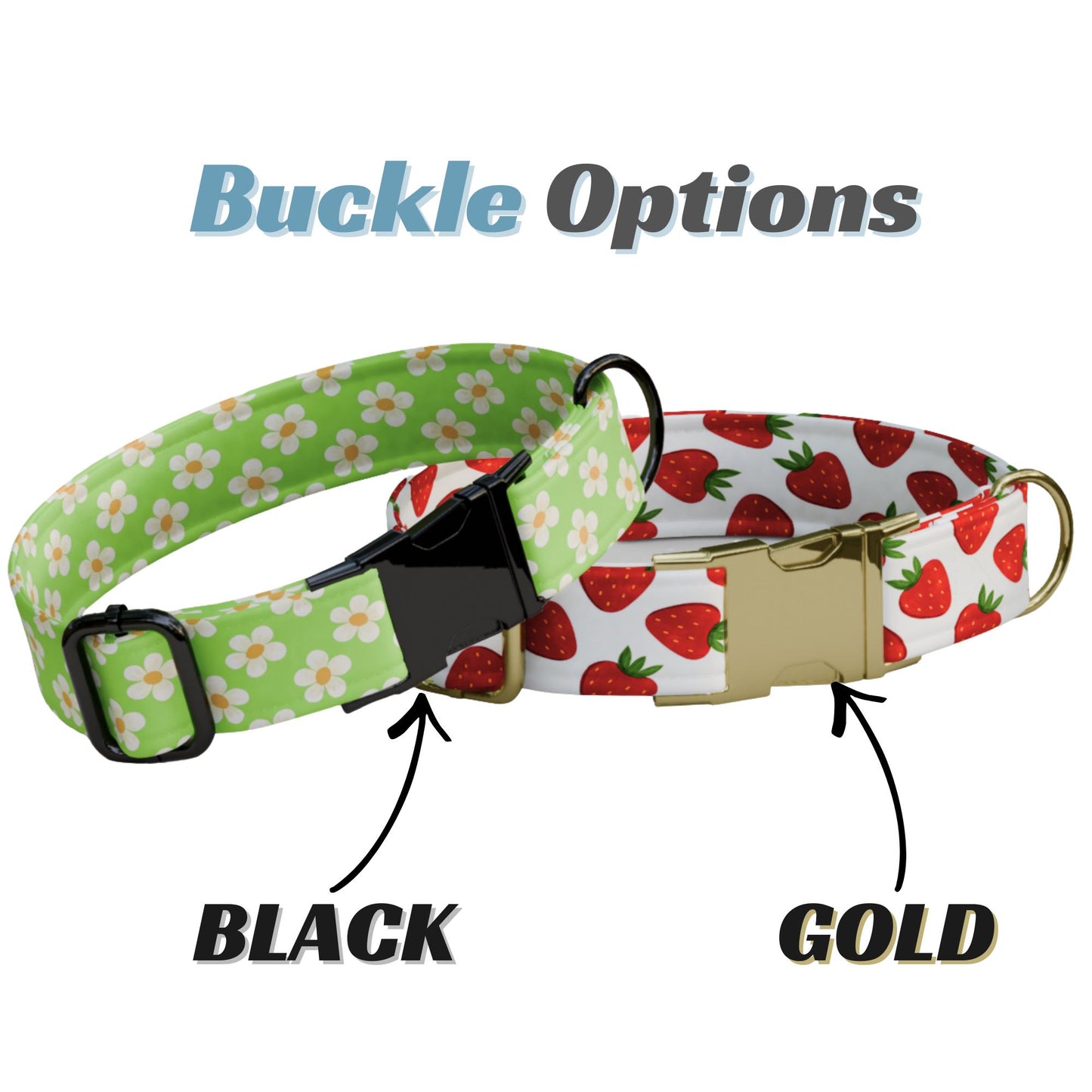 Strawberry Personalized Dog Collar & Leash Set
