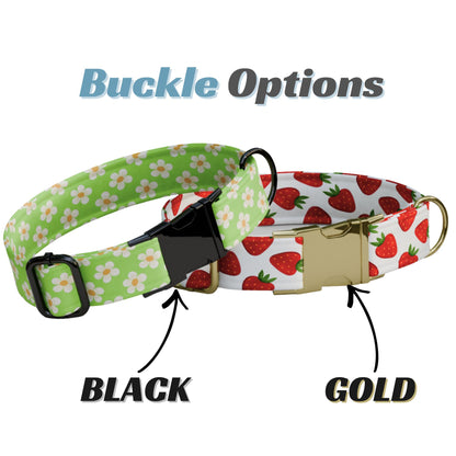 Strawberry Personalized Dog Collar & Leash Set