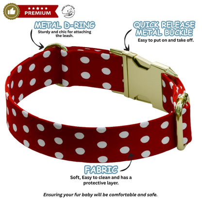 Strawberry Personalized Dog Collar & Leash Set