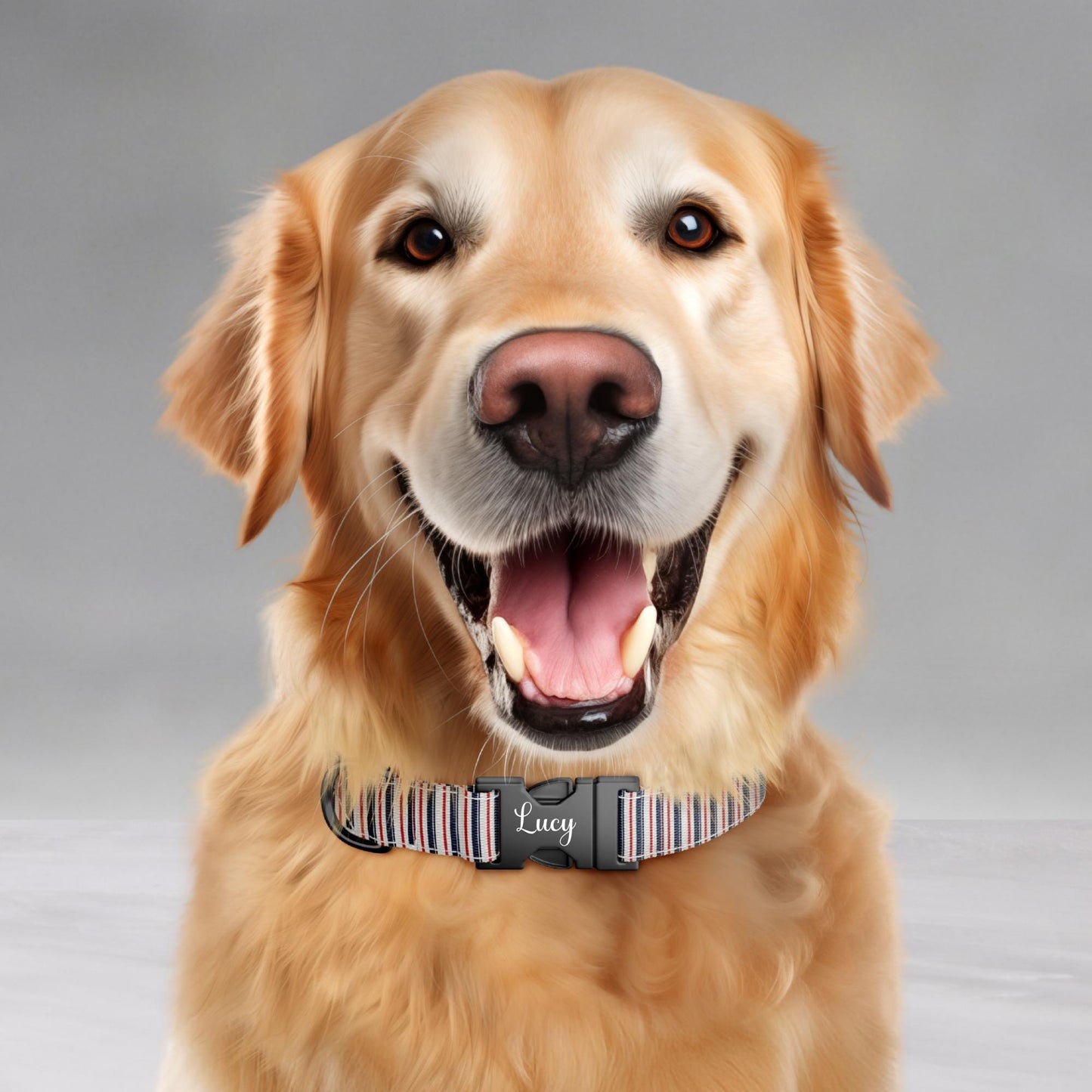 Baseball Personalized Dog Collar & Leash Set Custom Sports Collar Game Day Pet ID (OG-543)