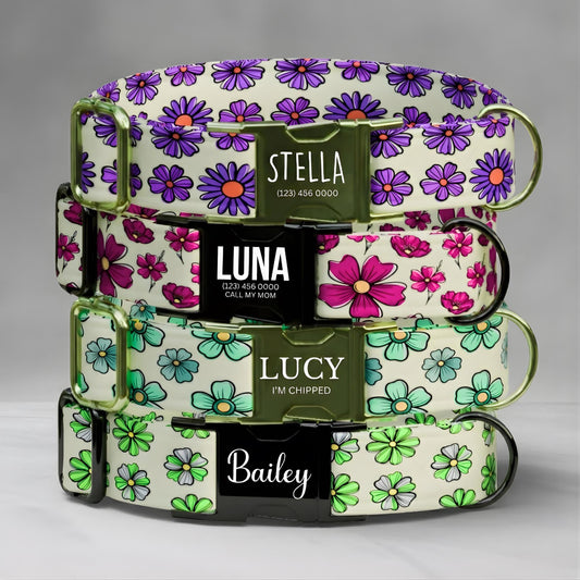 Floral Personalized Dog Collar & Leash Set Custom Daisy Print Girly Puppy Collar Gift (OG-549)