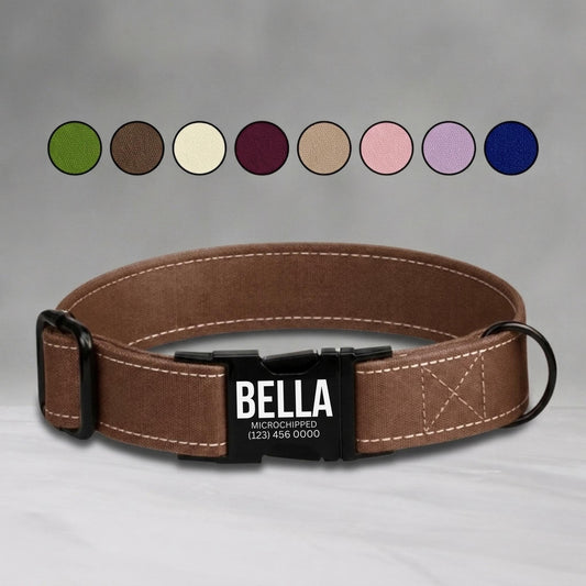 Solid Dog Collar Personalized Custom ID Engraved Pet NamePlate Gift for Dog Lover (OG-499)