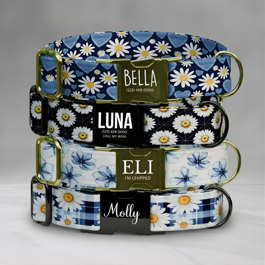 Daisy Dreams Personalized Dog Collar & Leash Set Custom Blue Floral Puppy Collar (OG-552)