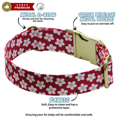 Red Black Personalized Floral Dog Collar with Name White Daisy Collar & Leash Set (OG-519)