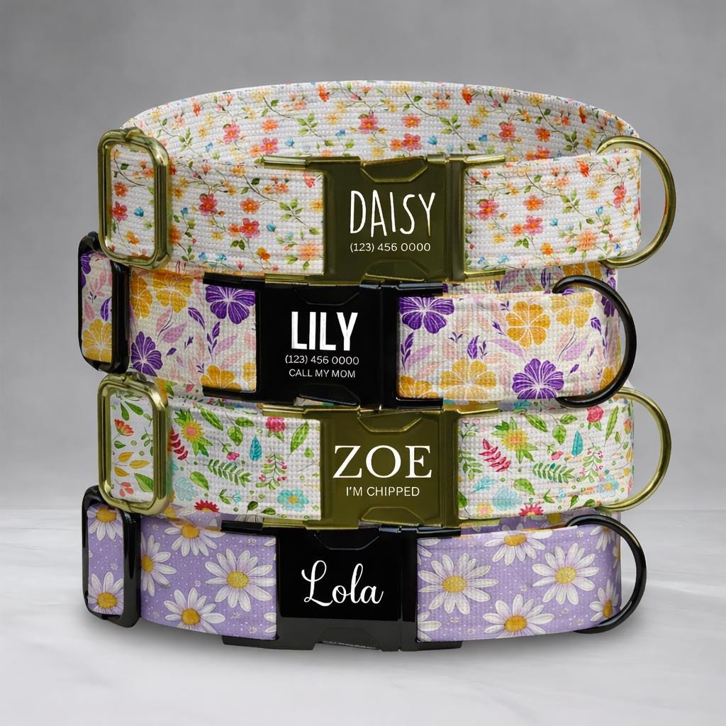 Floral Personalized Dog Collar with NamePlate Custom Engraved ID Flower for Girl Dogs (OG-518)
