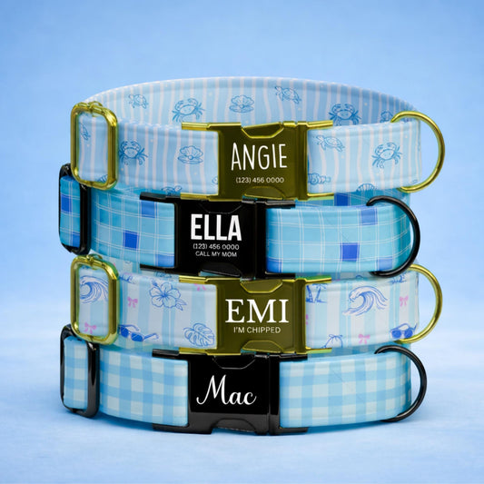 Summer Vibes Dog Collar Personalized Leash Set Beachy Blue Ocean Custom Pet Collar (OG-555)