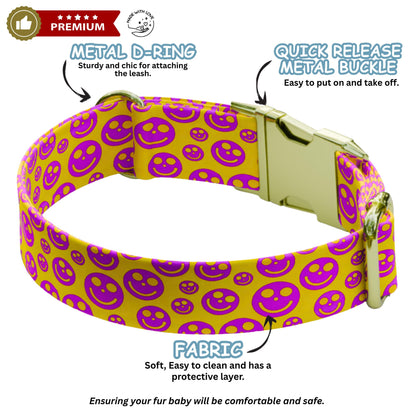 Groovy Personalized Dog Collar & Leash Set Custom Retro Flower, Smiley, Lightning Bolt Vibes (OG-540)