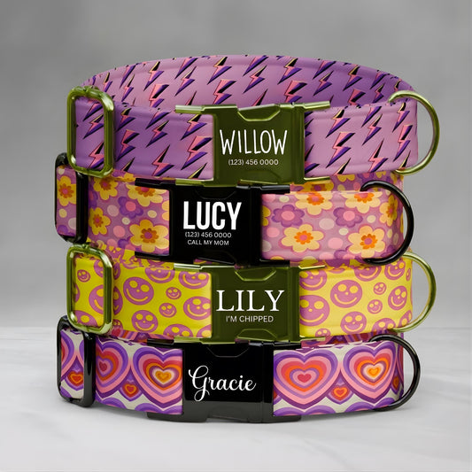 Groovy Personalized Dog Collar & Leash Set Custom Retro Flower, Smiley, Lightning Bolt Vibes (OG-540)