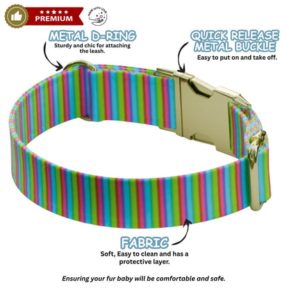 Retro Personalized Dog Collar Leash Set: Neon Pop Art Music Print, Handmade USA (OG-547)