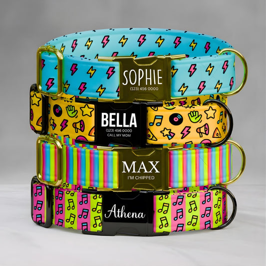 Retro Personalized Dog Collar Leash Set: Neon Pop Art Music Print, Handmade USA (OG-547)