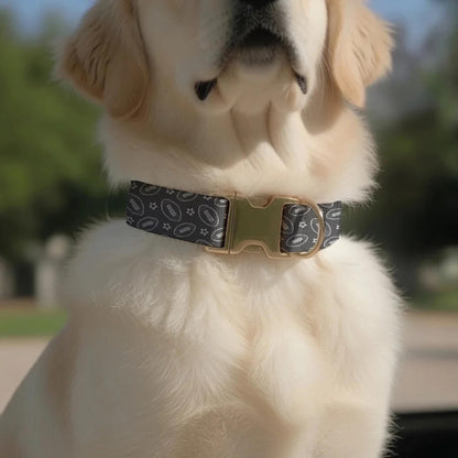 Game Day MVP Personalized Dog Collar – Touchdown-Ready All-Star Pup! Football Dog Tag (OG-445)
